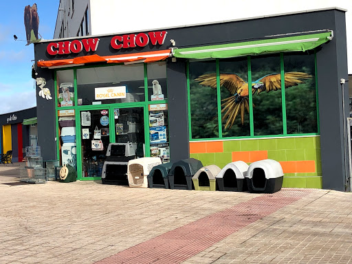 Pet Chow Chow