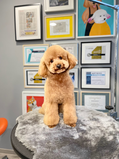 Peluqueria Canina Andrés Martinez Professional Dog Groomer - Thumbnail