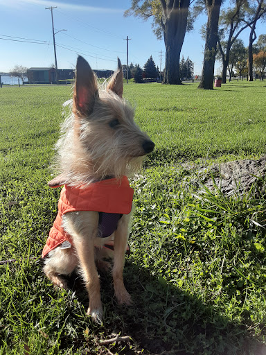 Marysville Veterinary Clinic - Thumbnail