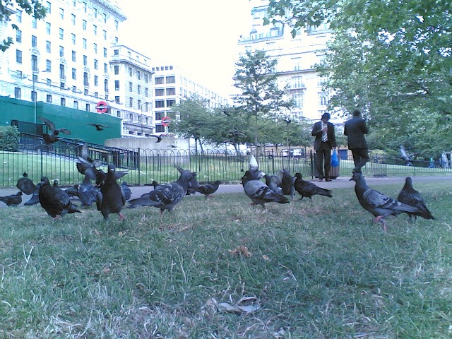 Green Park