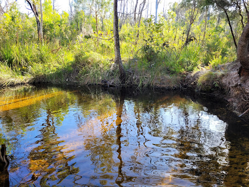 Seary's Creek Day Use Area - Thumbnail