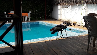 Photos of Sun Safari Club Hotel