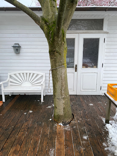 Meyerhof - Visual