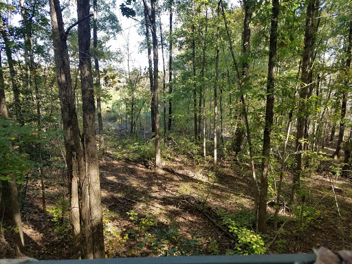 Cherokee Run Hunting Lodge - Thumbnail
