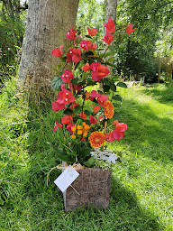Photo n°17 de Bulles d'O. à Maigné (Fleuriste)