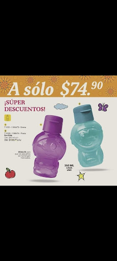 Tupperware chivis - Visual