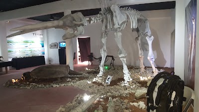 Photos of Museo de la Prehistoria Parque Dos Ojos