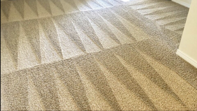 Washington Pro Carpet Cleaning