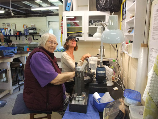 Waterloo Bay Lapidary Club - Thumbnail
