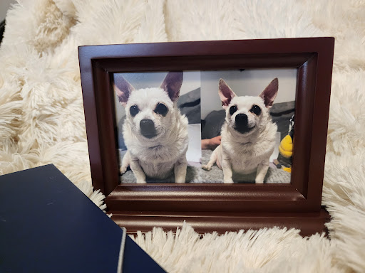 Adams County Animal Hospital Gallery - United States