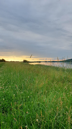 Elbeniederung von Avendorf bis Rönne