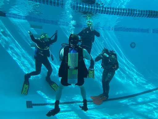 SOS Diving - Visual
