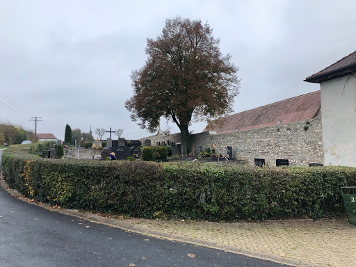 Friedhof Ebrach - alter Teil - Thumbnail
