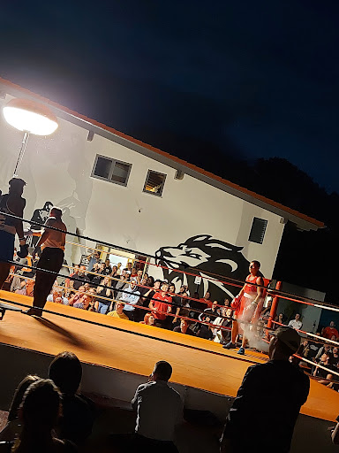 Box Arena - Visual
