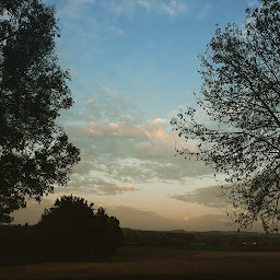 Photo n°43 de Domaine du Merlot à Beaumontois en Périgord (Gîte)