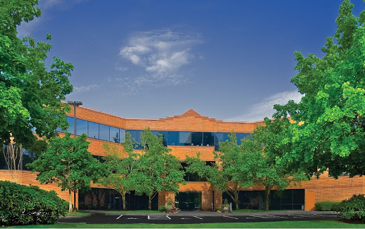 Skyline Properties - Visual
