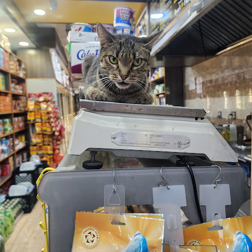 324 Brighton Beach Grocery