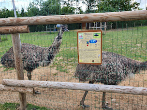 Photo n°7 de L'Arche de Noé à Éteignières (Ferme pédagogique)