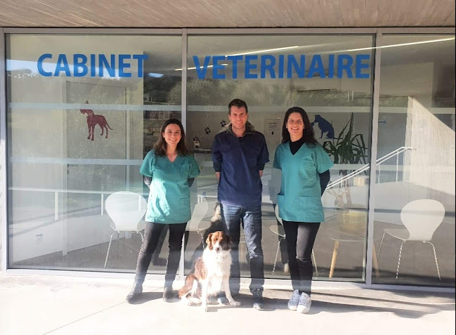 Cabinet vétérinaire de Bastelicaccia - Vétérinaire