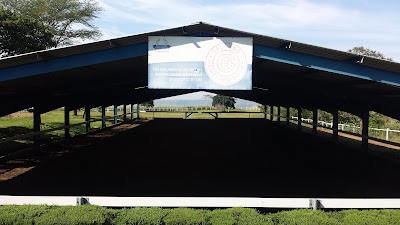 Photos of South African Jockey Academy