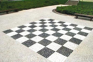 Photo n°5 de AP & P à Échiré (Société de travaux publics)