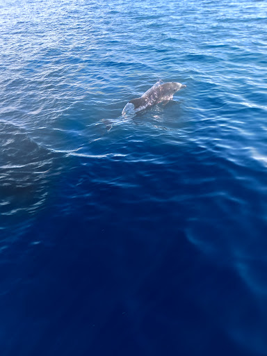 Pescaturismo La Barca dei Matti - Thumbnail