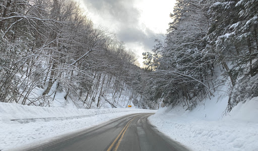 Granville Gulf Reservation State Forest - Thumbnail