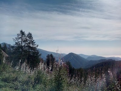 Bosco delle Navette