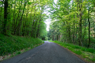 Photo n°6 de Ce Petit Chemin à Cenves (Chambre d'hôtes)