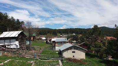 Akçakavak Yaylası