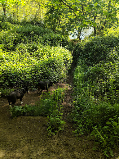 Simpson Park - Visual