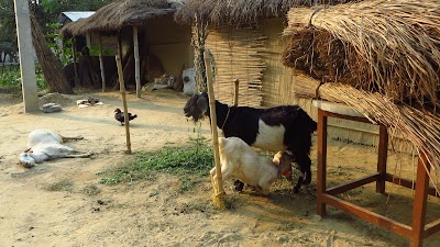 Photos of Chitwan Paradise Hotel