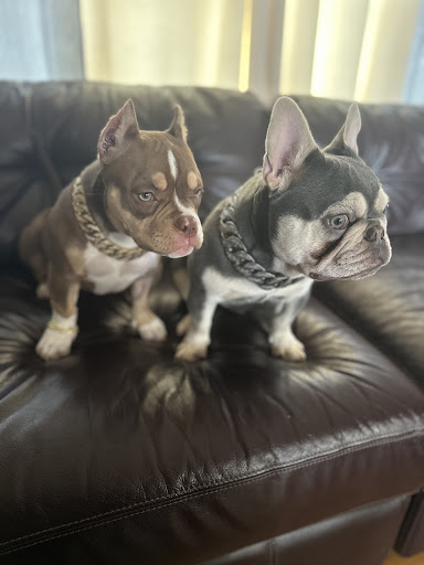 exoticpaw.net Gallery - United States