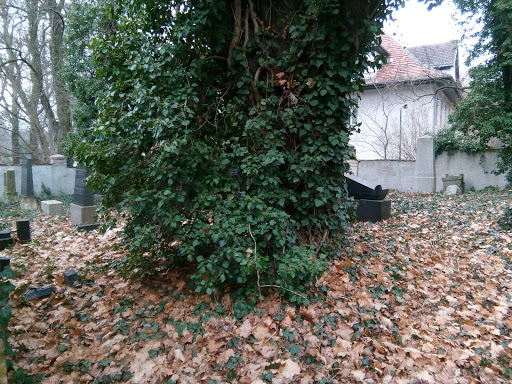 Ehemaliger Jüdischer Friedhof von Eberswalde - Thumbnail