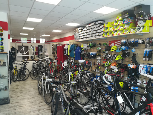 365 Bike Store - Visual