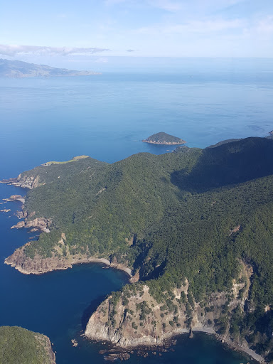 Great Barrier Aerodrome - Thumbnail