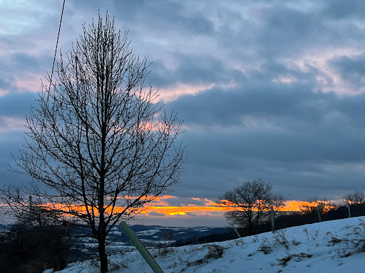 Hopewell Park / Danville Borough Farm Trail System - Thumbnail