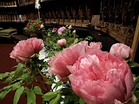 阿波池田ユースホステル