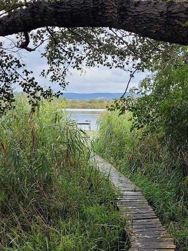 Breitunger Seen - Visual