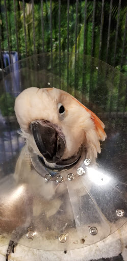 Mission Park Pet Hospital - Thumbnail