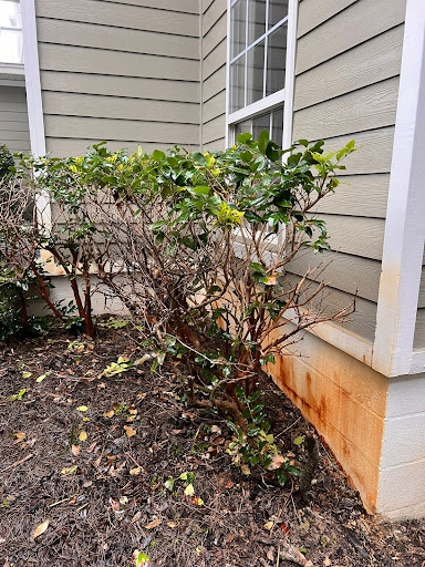 Galan Pressure Washing - Thumbnail