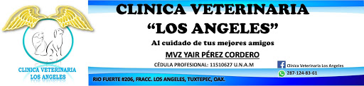 Clinica Veterinaria Los Angeles - Thumbnail