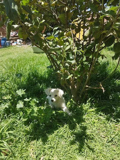 Photos of Parque Killman