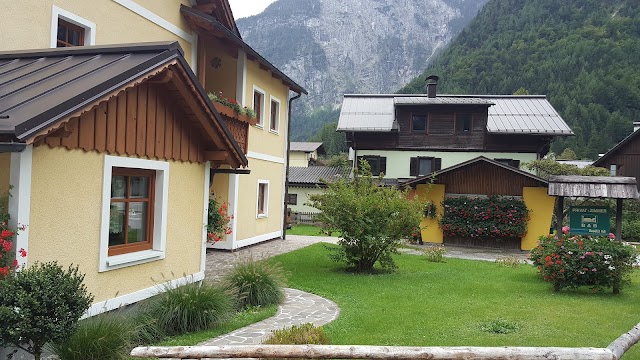 Lake Hallstatt Explorer