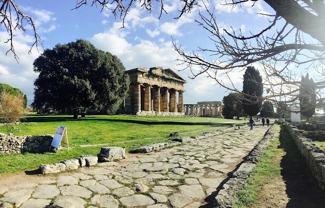 Musée Archéologique National de Paestum