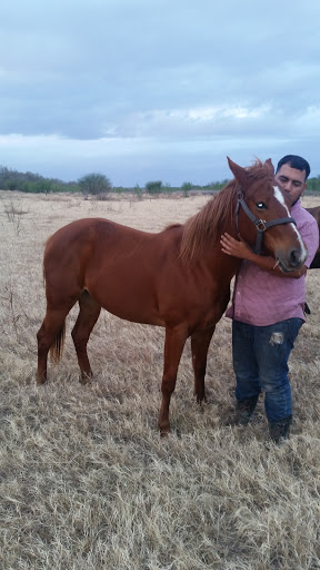 Las Palomas Wildlife Management Area - Prieta Unit - Thumbnail