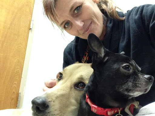 Wheatland Animal Clinic - Thumbnail