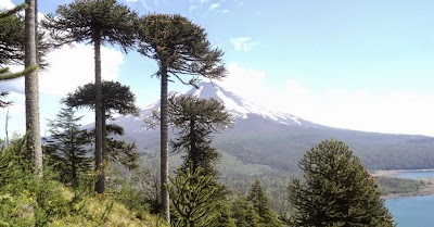 Photos of Turismo Parques del Sur