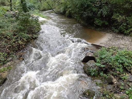 Pheasant Branch Conservancy - Thumbnail