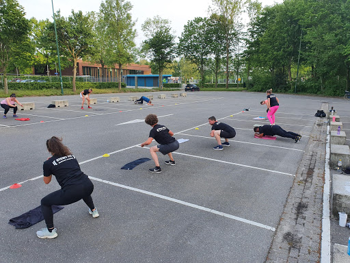 Stewy-Fit - Thumbnail
